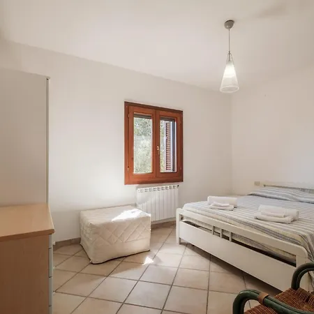 Ginepro * San Teodoro